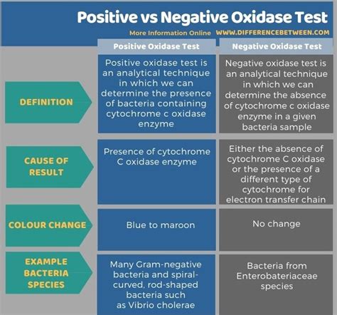 what does oxidase positive mean